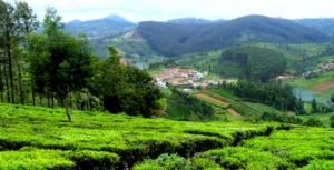 Read more about the article MYSORE OOTY KODAI