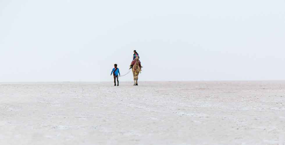 Rann-of-White-Desert