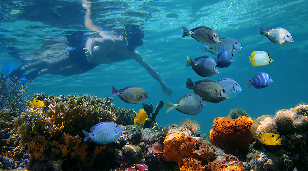 Snorkelling1