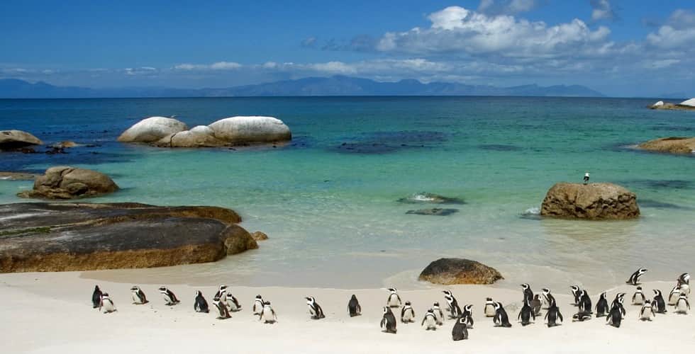 boulders-beach