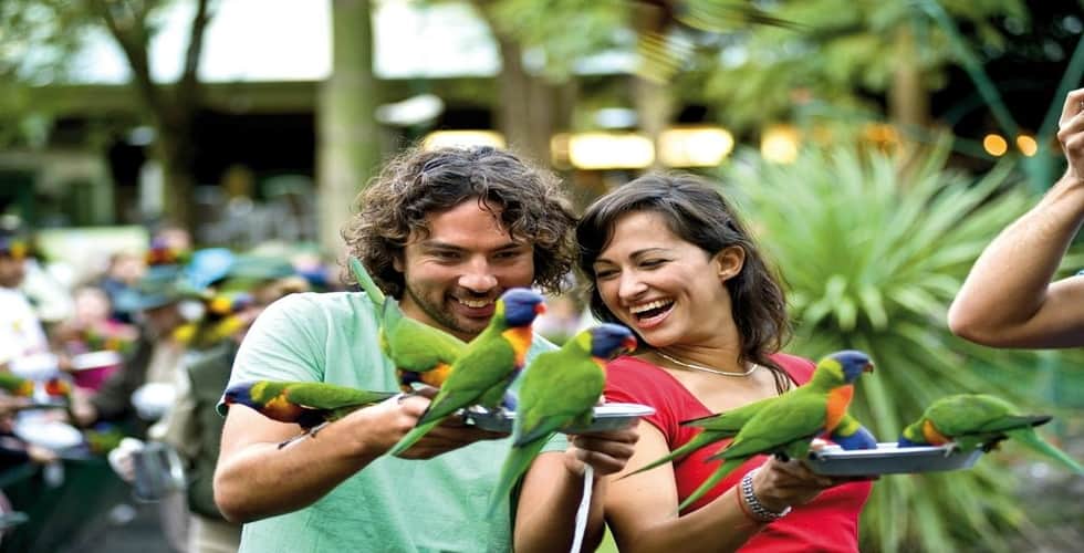 currumbin-bird-sanctuary