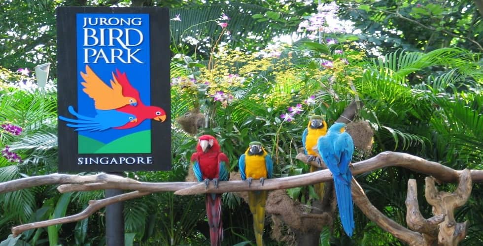 jurong-bird-park